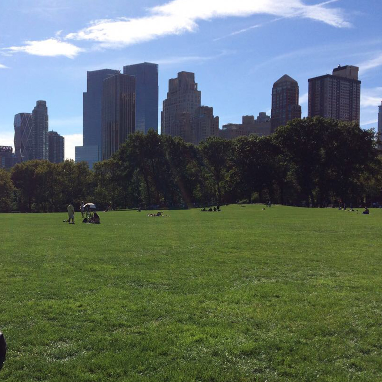 Central park  manhattan summer city relax chill afterwork friends nyc new york usa travel