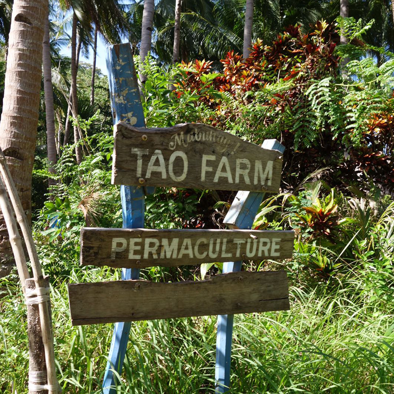 agriculture biological food philippines travel