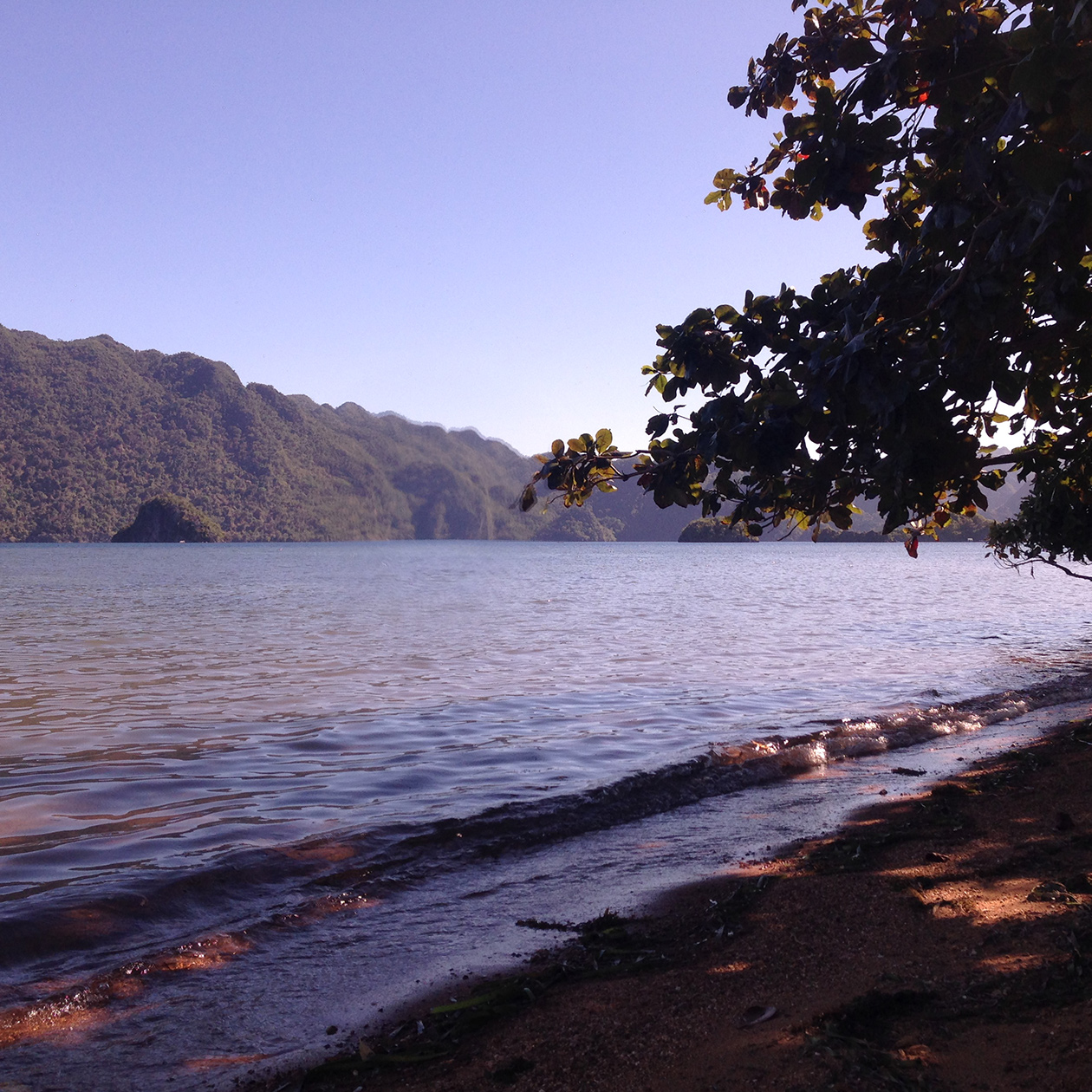 Coron beach Palawan philippines travel