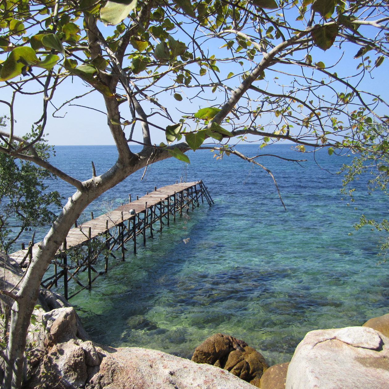 land walk jungle beach island travel thailand