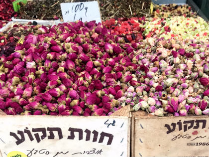 Tel Aviv City Asia Europe Travel